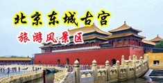 黄色插BB中国北京-东城古宫旅游风景区